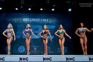 WELLNESS +163